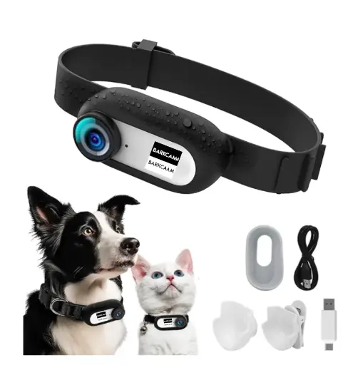 BarkCam Camera Collar