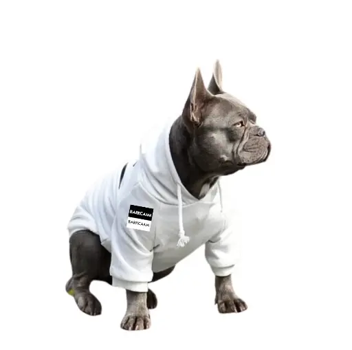 BarkCam Tech Hoodie (NEW)