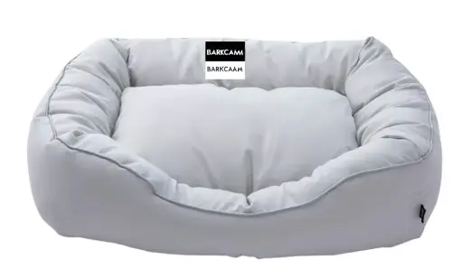 BarkCam Boogie Bed